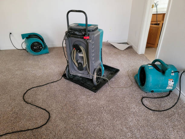 Best 24-hour water damage restoration  in Maumelle, AR