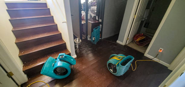 Best Water damage cleanup near me  in Maumelle, AR