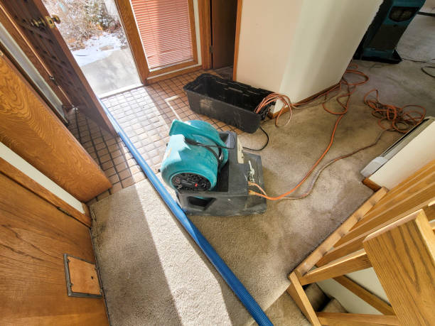 Best Water damage restoration near me  in Maumelle, AR