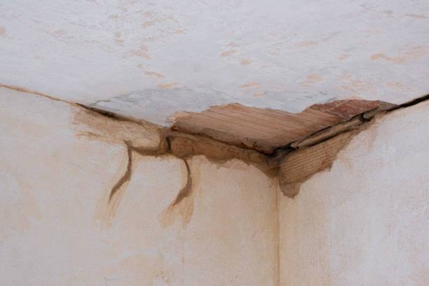 Best Water damage restoration specialists  in Maumelle, AR