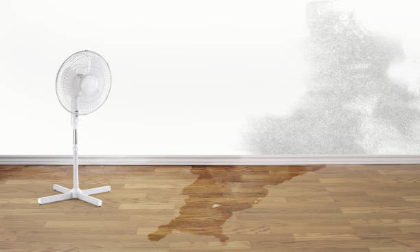 Best Water damage restoration near me  in Maumelle, AR