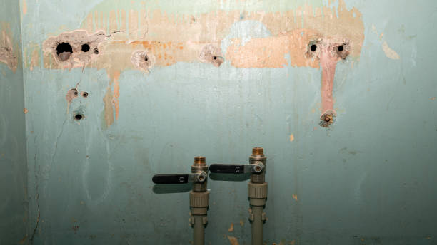  Maumelle, AR Water damage restoration Pros