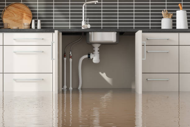 Best Water damage contractors near me  in Maumelle, AR