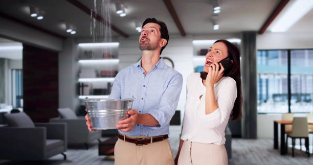 Best Water damage restoration mold remediation  in Maumelle, AR