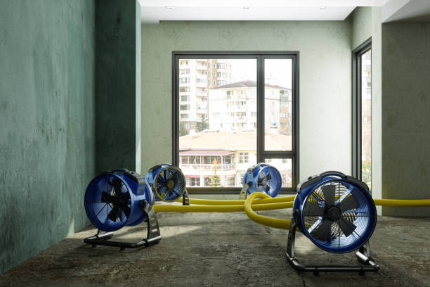 Best Flood restoration services  in Maumelle, AR