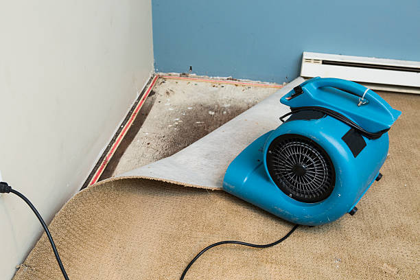 Best Water damage repair service  in Maumelle, AR